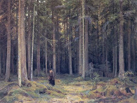 The Forest of Countess Mordvinova by Ivan Ivanovich Shishkin - Hand-Painted Oil Painting on Canvas Online Hot Sale