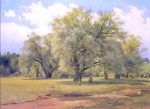 Willows Alight a Sun by Ivan Ivanovich Shishkin - Hand-Painted Oil Painting on Canvas Online